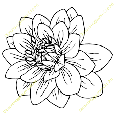 Discountmugs Com Clipart Flower Sketches Flower Drawing Flower Art
