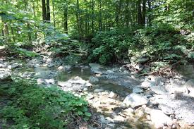 133 отметок «нравится», 1 комментариев — canopy (@canopy_design) в instagram: High Tor Wildlife Management Area Naples Ny