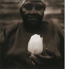 Catherine Edelman Gallery