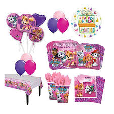 The Ultimate 16 Guest 94pc Paw Patrol Girls Skye And Everest Birthday Walmart Com Paw Patrol Birthday Party Paw Patrol Party Decorations Birthday Party Packs