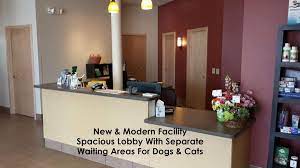 Vet madison, united states, veterinary services, veterinary surgery, vet. Healthy Pet Veterinary Clinic 2801 E Washington Ave Madison Wi Veterinarians Mapquest