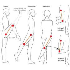 Shoulder Range Of Motion Chart Google Search Fit Yoga