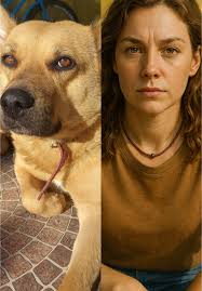 Cachorro Em Humano Gpt Crianca