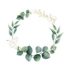 Watercolor Vector Frame With Green Eucalyptus Leaves Jasmine Flowers And Branches Kaufen Sie Diese Vektorgrafik U Blumenzeichnung Blumen Kunst Blumenrahmen