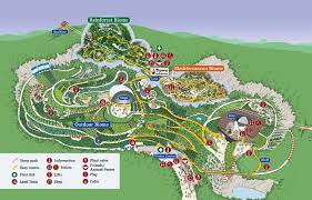 Eden Project Map Gadgets 2018 Eden Project Rainforest Biome Biomes