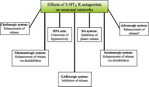5 Ht3 Receptor Antagonists In Neurologic And Neuropsychiatric Disorders The Iceberg Still Lies Beneath The Surface Pharmacological Reviews