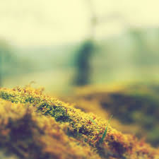 Hd Ipad 3 Wallpapers Group 87