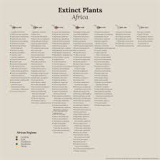 Image result for Dissotis longisepala