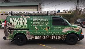 From termites to bed bugs.from mice to rats.we take care of it all.call 732 310 1017 or email any questions to peyepestcontrol@gmail.com. Pest Control Wildlife Removal In Nj Balance Of Nature