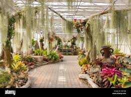 Thailand Garden Nursery High Resolution Stock Photography And Images Alamy