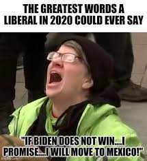 Politics Crying Liberal Memes Gifs Imgflip