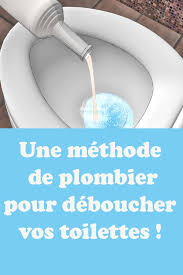 Une Methode De Plombier Pour Deboucher Vos Toilettes Cleaning Hacks Hand Soap Bottle Soap Bottle