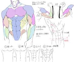 身体 おしゃれまとめの人気アイデア pinterest abelardo garcia 解剖学のチュートリアル イラスト 教室 スケッチのテクニック