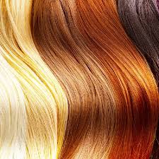 Why i decided to embrace my natural hair color. Natural Hair Colours Manufacturer Natural Hair Colours Exporter Supplier In Jaipur India