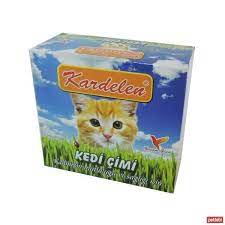 kardelen kedi cimi kedi