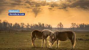 'ik word altijd helemaal zen van mooie weerfoto's. Buienradar Twitter à¤µà¤° Iedereen Bedankt Voor De Weerfoto S Van Vandaag Bij Rtlweer Je Kunt Ze Altijd Sturen Naar Weerfoto Rtl Nl Of Https T Co S54sahkpbe Https T Co 6sfcxli9ji