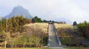 避開人群走進雪白神傳說之秘境 寒溪呢 landmarks travel building