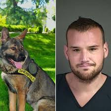 Douglas County K9 helps capture man wanted