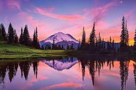 Check spelling or type a new query. Usa Washington State Mt Rainier National P Jaynes Gallery Icanvas