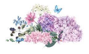 Flower Bouquet Hydrangea Wedding Illustration Watercolor Hydrangea Flower Vector Png Is Floral Watercolor Background Watercolor Hydrangea Watercolor Bouquet