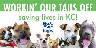 If you are interested in meeting a pet in a foster home, please email foster@kcpetproject.org. Humane Society Of Greater Kansas City Home Facebook
