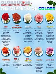 Rose Color Meaning Chart Www Bedowntowndaytona Com