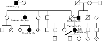 Genomic Profile Of A Li Fraumeni Like Syndrome Patient With