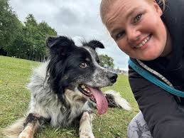 Sorry the last post was missing its content; Big Dogs!