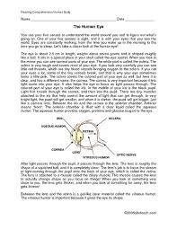 The Human Eye 5th 7th Grade Worksheet Eye Lesson Reading Comprehension Activities Comprehension