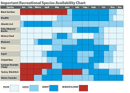 availability chart rhode island saltwater fishing