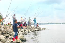 Negeri selangor bukan sahaja pesat membangun tetapi dianugerahkan beberapa buah pantai yang indah. Lima Lubuk Ikan Idaman Kaki Pancing Di Selangor Selangorkini