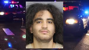 K-9 Captures Man After Fleeing Scene Of A High-Speed Hit And Run