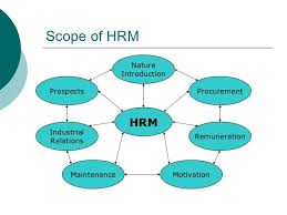 Pin Di Skyarch Hr Solutions