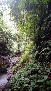 Atas berikut dibawah ini berbagai gambar pemandangan alam banyak rerumputan dan pohon yang menghiasi sekitar pegunungan menambah nilai plus tersendiri. File Pemandangan Alam Sekitar Curug Cikaracak Jpg Wikimedia Commons