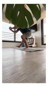 …………🧘🏽…………