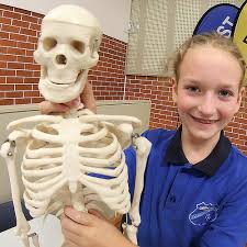 This makes it very challenging for students to grasp the basic knowledge of the science. Human Body Trivia Fizzics Education