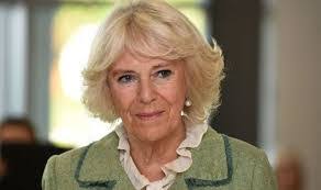 Camilo Olvera's Instagram, Twitter & Facebook