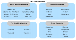 Macronutrients, which are required in large amounts, include carbohydrates, proteins and. Classification Of Nutrients Type I Type Ii Macro Micro Public Health Notes