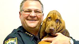 Funky Frank' Seeks Furever Home at Brevard County Animal Services, Free  Adoptions For the Month of February