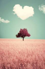 Amazing wallpaper of nature images download lovely picture for desktop background wallpaper for profile status of him and her. Profile Pictures Via Facebook Image 899195 On Favim Com