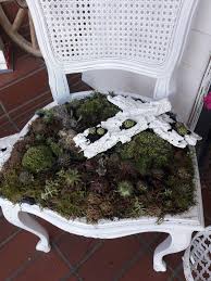 Sukkulenten Stuhl Gartendeko Garten Deko Sukkulenten Stuhle