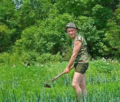 Has the farm to table movement gone too far?