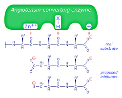 Image result for ACE Inhibitor