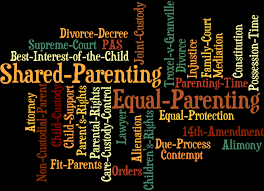 Remember, the narcissist's game is all about manipulating you. Parallel Parenting Steps For Setting Boundaries With A Narcissist Parenting Time Guidelines Fix Family Courts