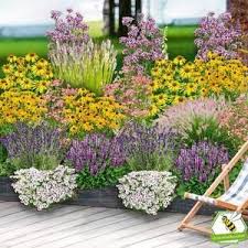 Staudenbeet Sunshine 20 Pflanzen In 2020 Pflanzen