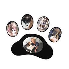 All donations are tax deductable. Adoptapaws Uk Rescue Home Facebook