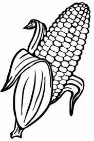 Corn coloring page illustrations & vectors. Pin On Malaysia