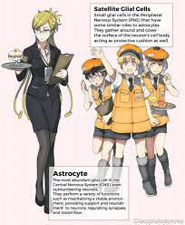 Hataraku Saibou Tumblr Character Character Design Biology Classroom