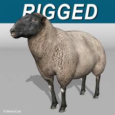 Sheep Black 3d Model Ad Sheep Black Model Art Wallpaper Iphone 3d Model Sheep
