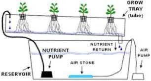Hydroponic Systems And How They Work Hydroponic Gardening Hydroponics Hydroponic Gardening Hydroponics Diy